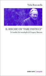 Il rischio di "fare pasticci"